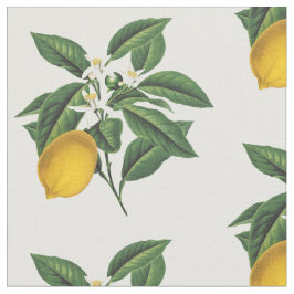 Vintager Botanischer Zitronenfruchtblossom Stoff