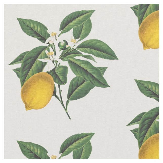 Vintager Botanischer Zitronenfruchtblossom Stoff (Nahaufnahme)