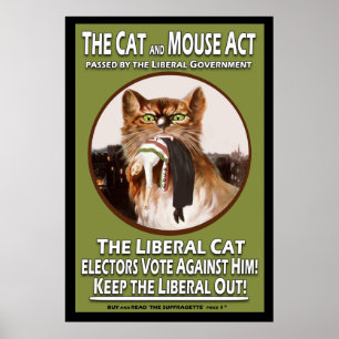 Vintager britischer Suffragette Cat and Mouse Act Poster