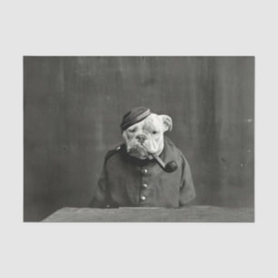 Vintager Bulldog in Kostümen mit Rohre Seidenpapier