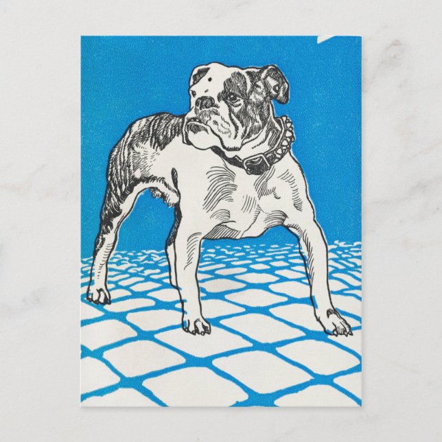 Vintager Bulldog Postkarte (Vorderseite)