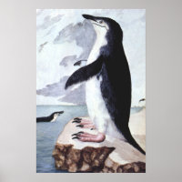 Vintager Chinstrap Pinguin, Vögel aus der Antarkti