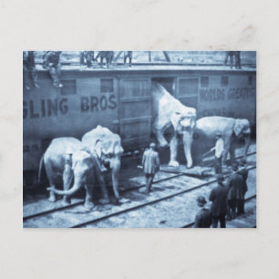Vintager Circus Elefanten Ringling Bahnwagen Postkarte