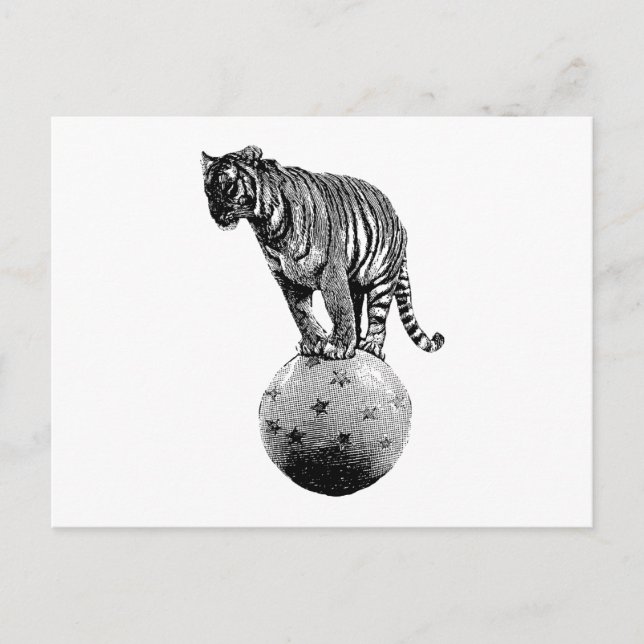 Vintager Circus Tiger Postkarte (Vorderseite)
