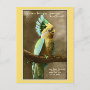 Vintager Cockatoo-Freund Geburtstagsfest Foto Postkarte