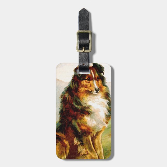 Vintager Collie-Hund Gepäckanhänger (Vorderseite vertikal)
