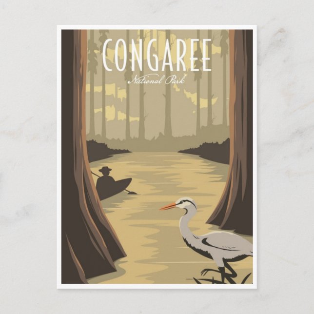 Vintager Congaree Nationalpark Süd Carolina Postkarte (Vorderseite)