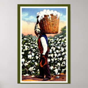 Vintager Cotton Field Man Poster