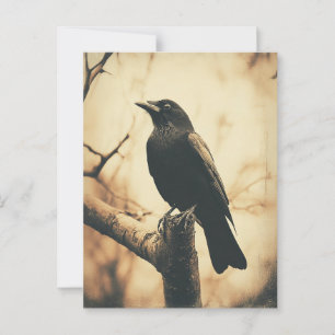 Vintager Crow-Stil Postkarte