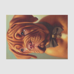 Vintager Dogue de Bordeaux Malerei Seidenpapier