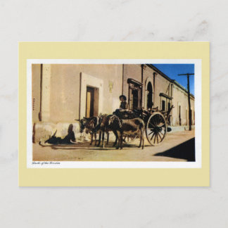 Vintager Donkey-Karren Mexiko südlich der Grenze Postkarte