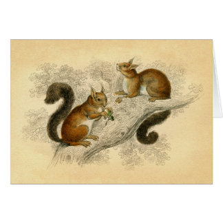 Vintager Eichhörnchen-Druck