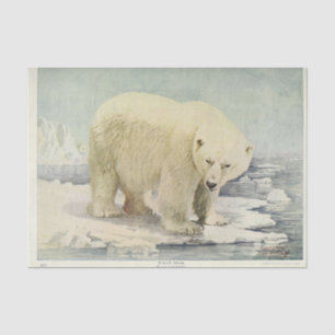 Vintager Eisbär Ephemera Decoupage Seidenpapier