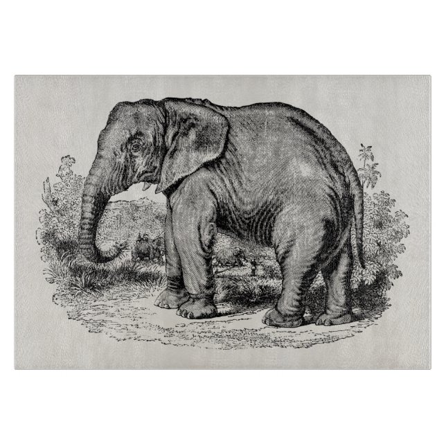 Vintager Elefant-personalisierte Elefant-Tiere Schneidebrett (Vorderseite)