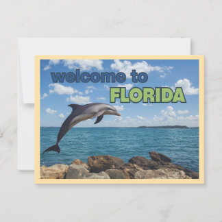 Vintager Empfang in Florida Dolphin Postkarte