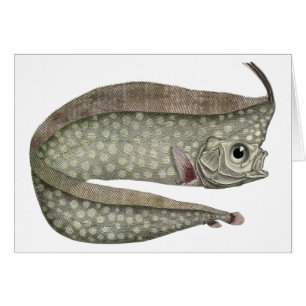 Vintager, entkörnter Orangenfisch, Meeresaquatisch