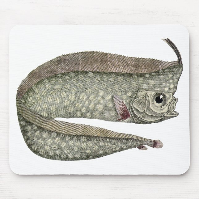 Vintager, entkörnter Orangenfisch, Meeresaquatisch Mousepad (Vorne)