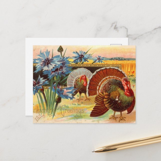 Vintager Erntedank Holiday Truthahn Postkarte (Vorderseite/Rückseite Beispiel)