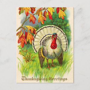 Vintager Erntedank Türkei Feiertagspostkarte