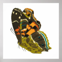 Vintager exotischer Schmetterling 5 Poster
