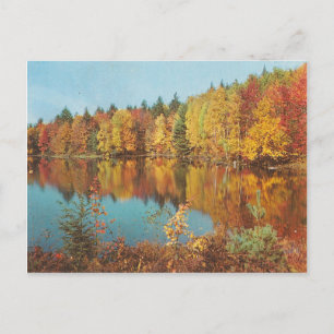 Vintager Fall Postkarte