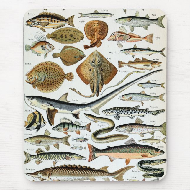 Vintager Fisch der Welt Mousepad (Vorne)