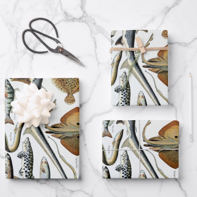 Vintager Fisch des Weltplakats Geschenkpapier Set (Vorderseite)