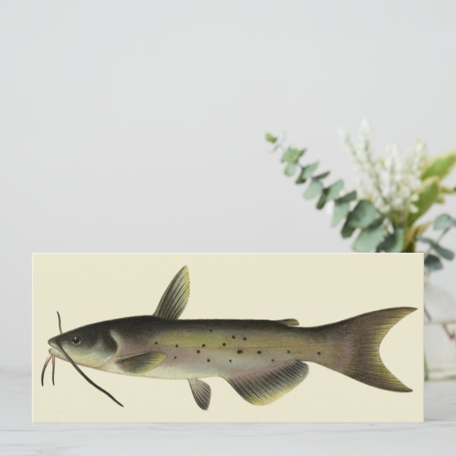Vintager Fisch, Marine Life River Fish (Stehend Vorderseite)