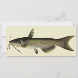 Vintager Fisch, Marine Life River Fish
