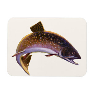 Vintager Fisch, Sportfischer Magnet
