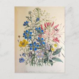 Vintager Flachs und reinigende botanische Illustra Postkarte