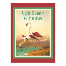Vintager Flamingos Besuch Florida Tourismus Reisen