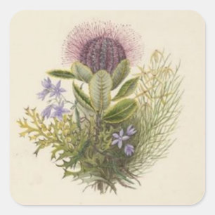 Vintager Floral-Sickenaufkleber Quadratischer Aufkleber