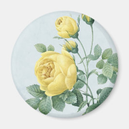 Vintager floraler Magnet mit schöner gelber Rose