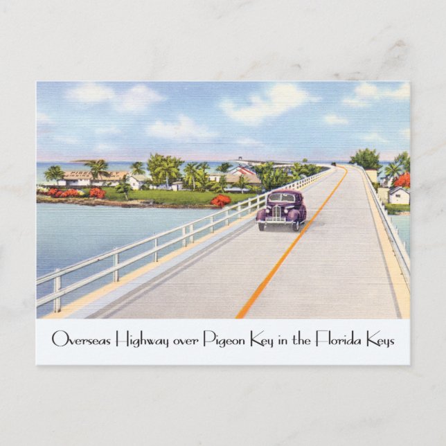 Vintager Florida-Postkarten-Pigeon-Schlüssel Postkarte (Vorderseite)