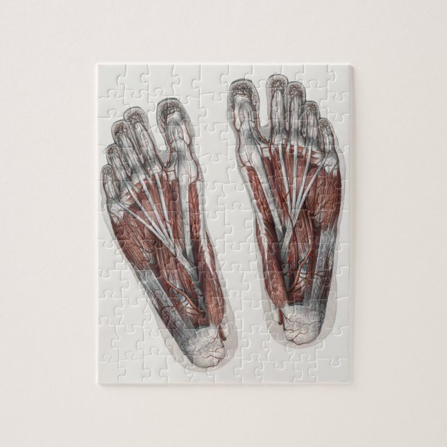 Vintager Footprint Podiatrie Feet Puzzle (Vertikal)