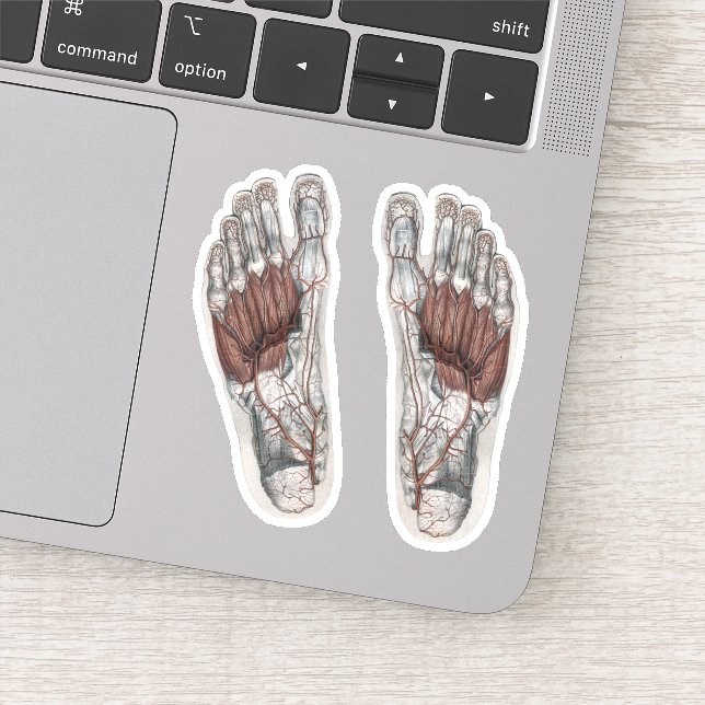Vintager Footprint Podiatrie Foot Aufkleber (Detail)