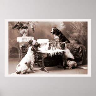 Vintager Fotografie-Kater mit Hunden Poster