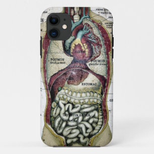 Vintager französischer Anatomie-Case-Mate-Fall Case-Mate iPhone Hülle
