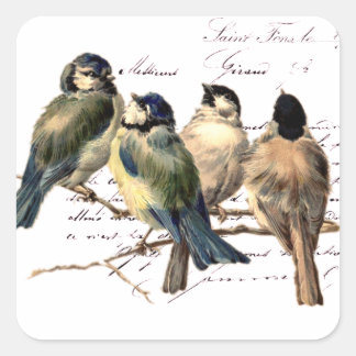 Vintager französischer Buchstabe und Vögel Quadratischer Aufkleber