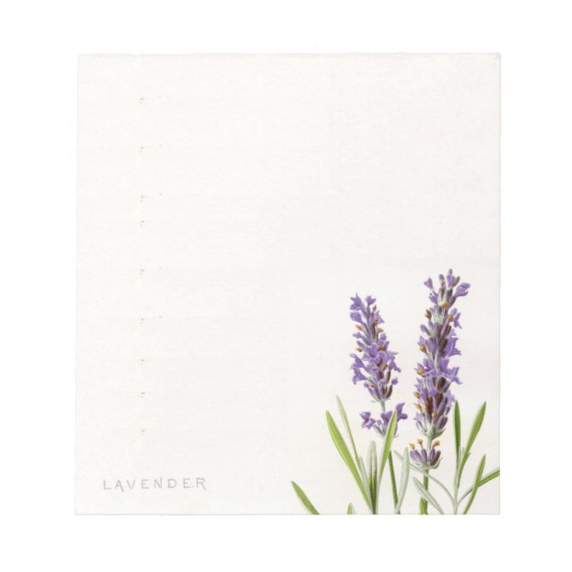 Vintager französischer Lavendel Notepad Notizblock (Vorderseite)