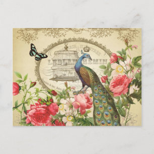 Vintager französischer Shabby Chic-Pfau Postkarte