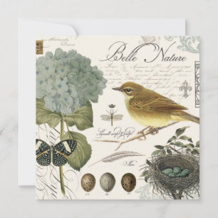 Vintager französischer Vogel und Nest