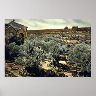 Vintager Garten Gethsemane Jerusalem Israel Poster