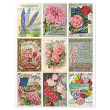 Vintager Garten und Blume Seeds Ephemera