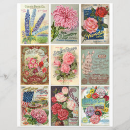 Vintager Garten und Blume Seeds Ephemera