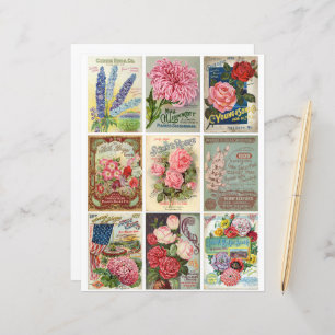 Vintager Garten und Blume Seeds Ephemera