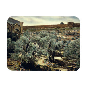 Vintager Garten von Gethsemane Jerusalem Israel Magnet