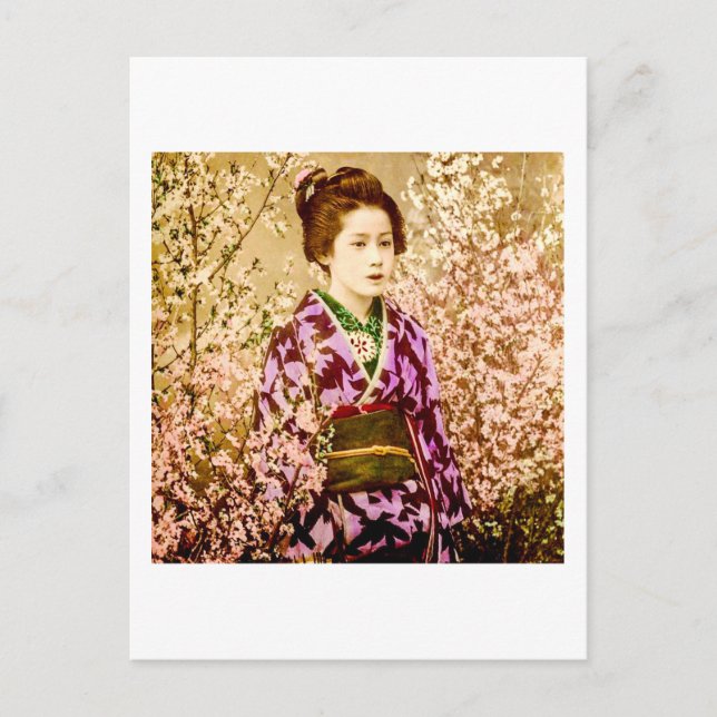 Vintager Geisha Posing in Kirschblüten Postkarte (Vorderseite)
