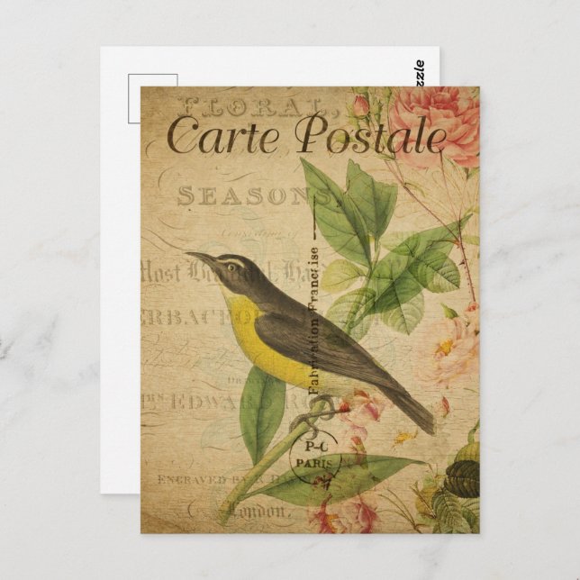 Vintager Gelbbvogel Postkarte (Vorne/Hinten)